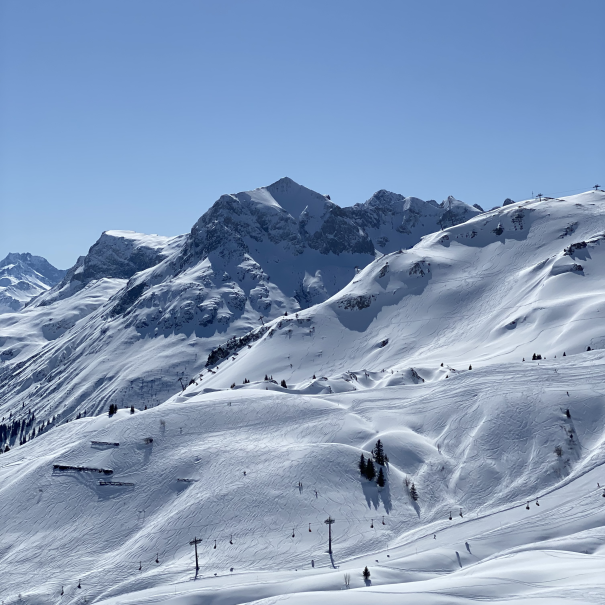 Ski & Snowboard